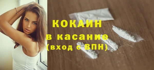 гашик Зерноград