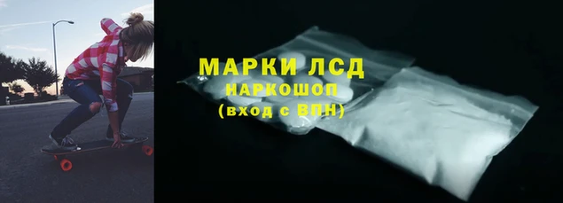 гашик Зерноград