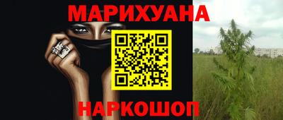 сатива Донской