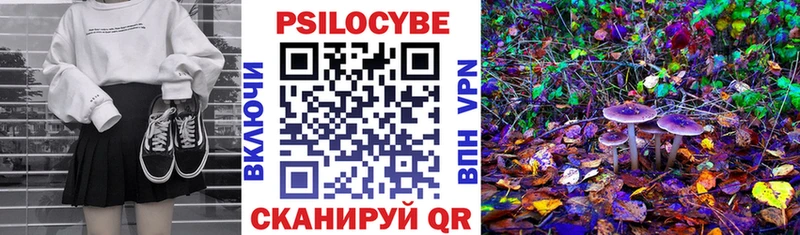 даркнет сайт  mega онион  Галлюциногенные грибы ЛСД  Славгород 