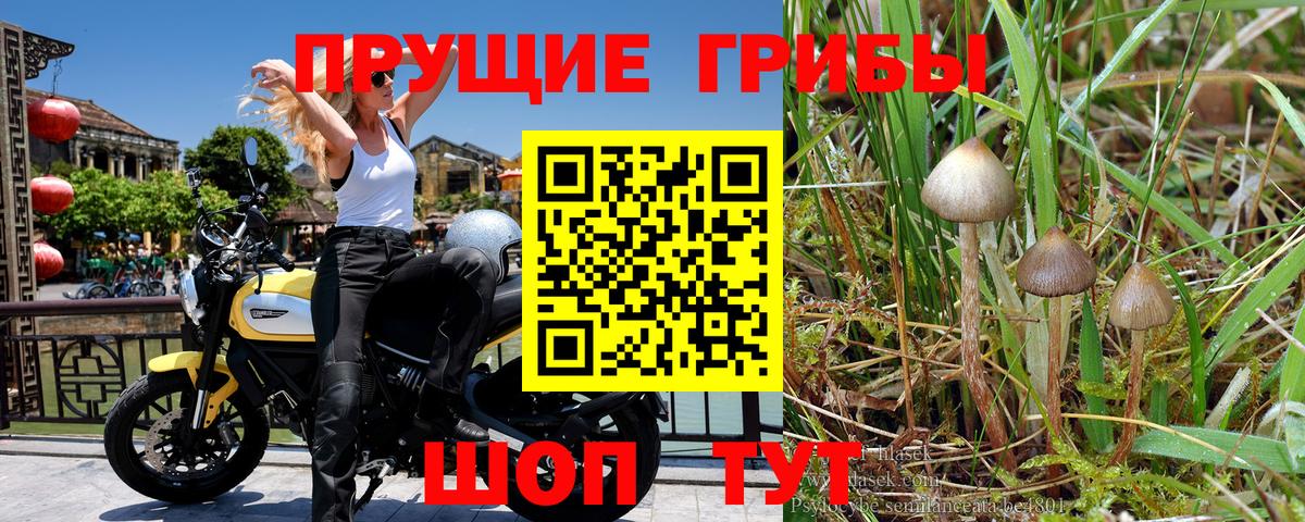 Галлюциногенные грибы мухоморы  Вход с VPN  Славгород 
