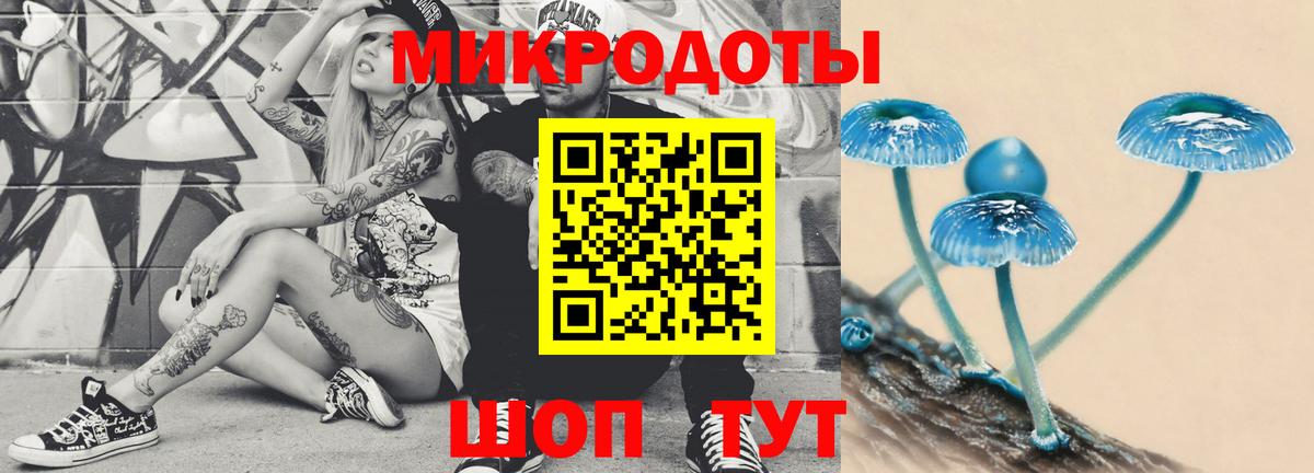 Галлюциногенные грибы MAGIC MUSHROOMS  сколько стоит  Псилоцибиновые грибы Magic Shrooms  Славгород 