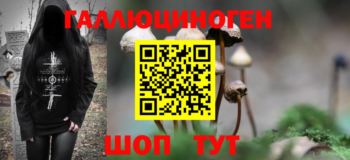 Галлюциногенные грибы прущие грибы Славгород