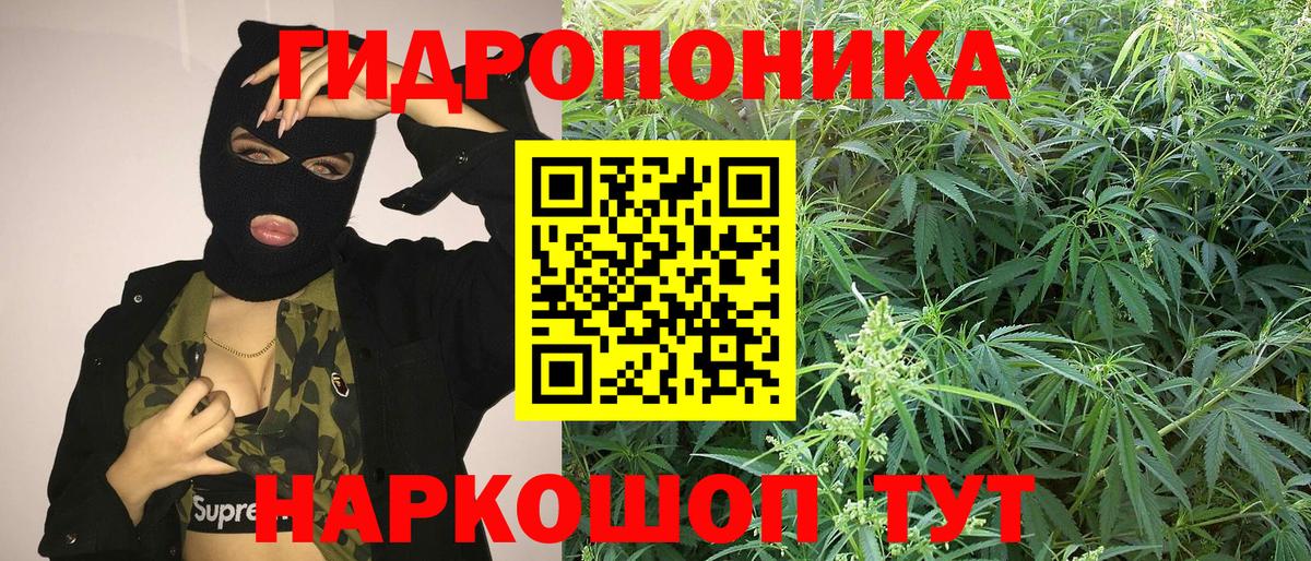 Шишки марихуана MAZAR  МАРИХУАНА семена  Шишки марихуана VHQ  Славгород 