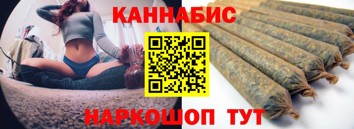 Конопля гибрид Славгород